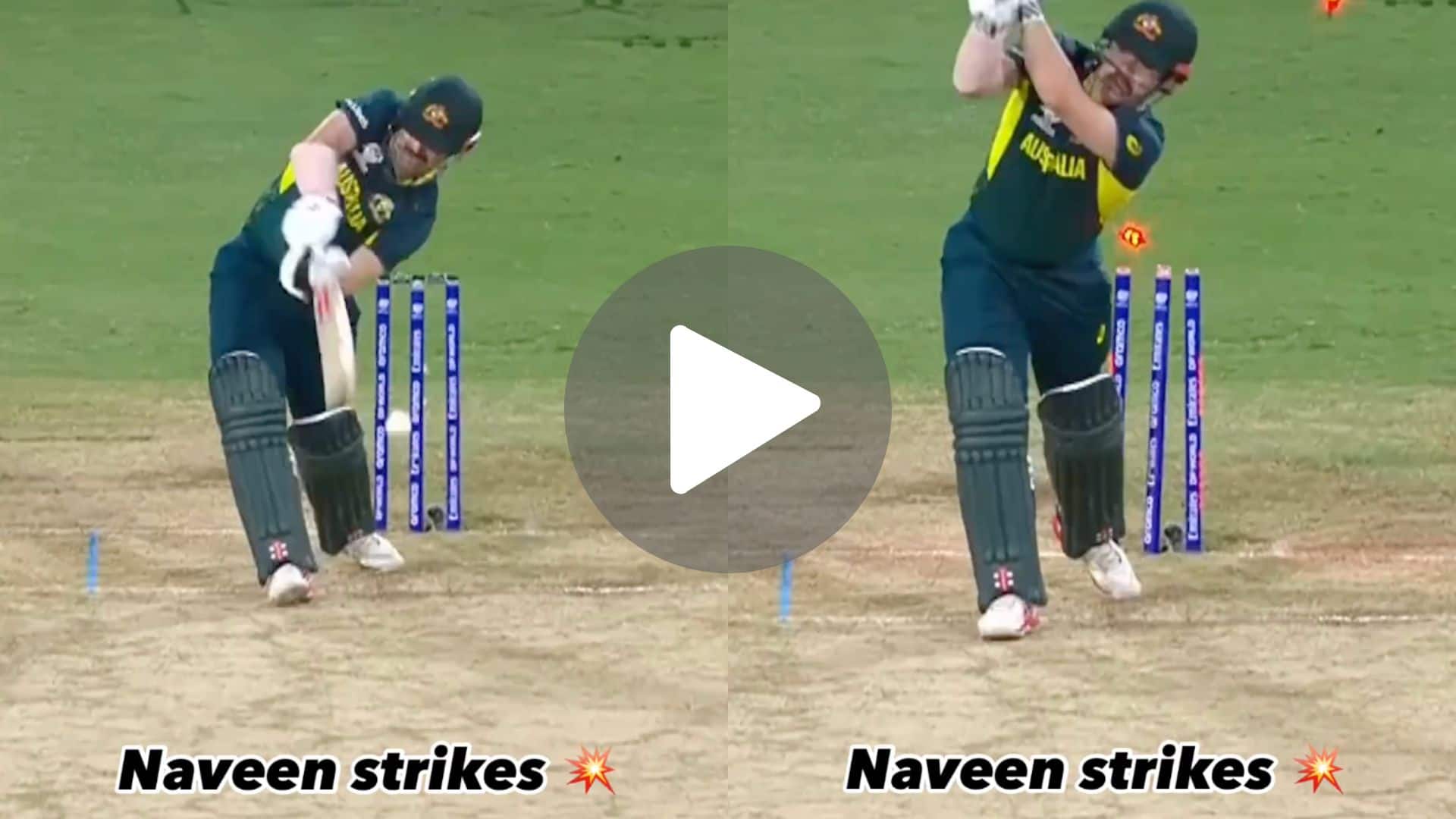 [Watch] Travis Head Departs For A Duck As Naveen's 'Ball Of T20 World Cup' Shatters His Middle Stump